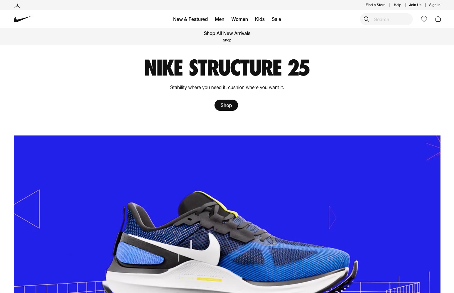 Image of Nike's Website